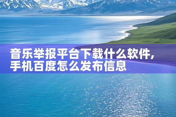 音乐举报平台下载什么软件