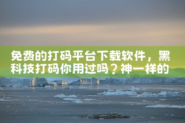 免费的打码平台下载软件