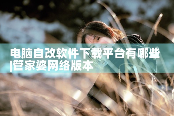 电脑自改软件下载平台有哪些